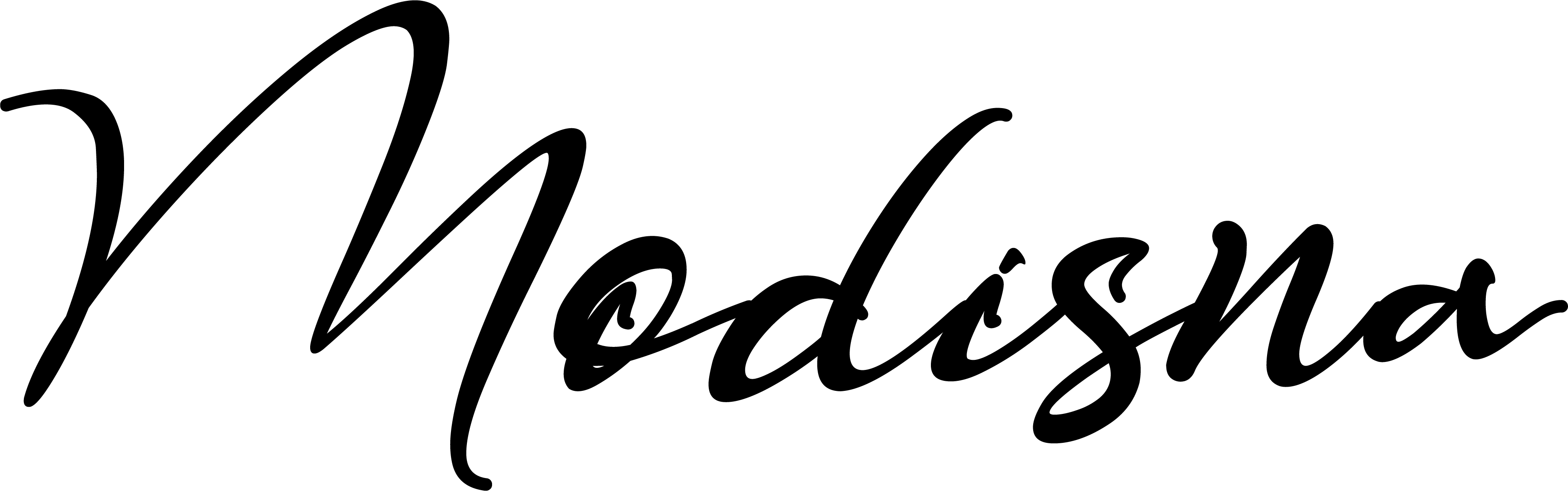 Modisna Logo